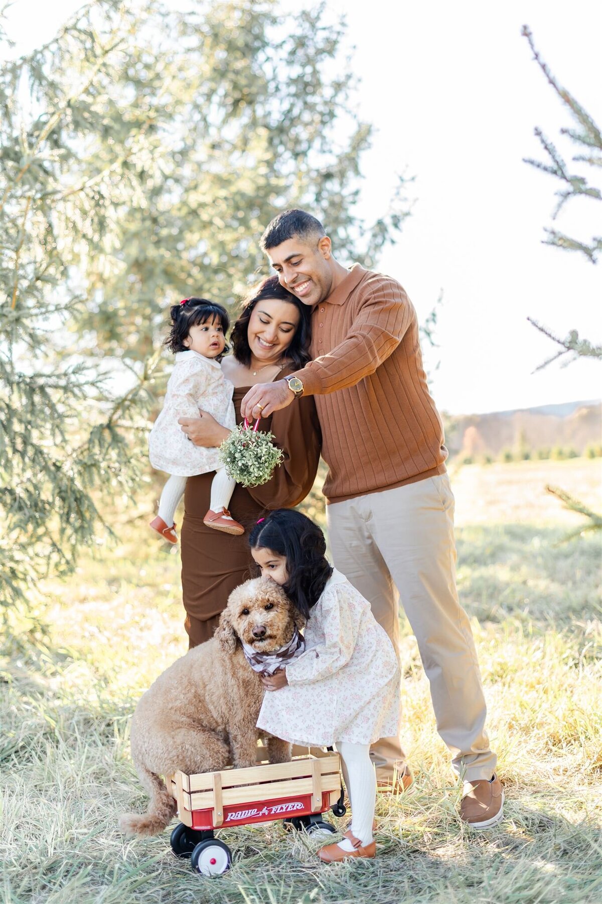 Heidi Fam Photography - Northern VA Christmas Tree Mini Session
