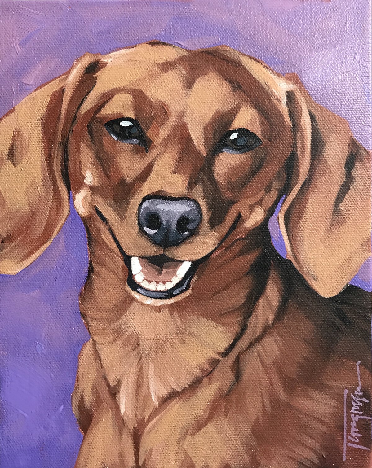 Torregrossa Fine Art Custom Pet Portrait by Stephanie T Gaffney