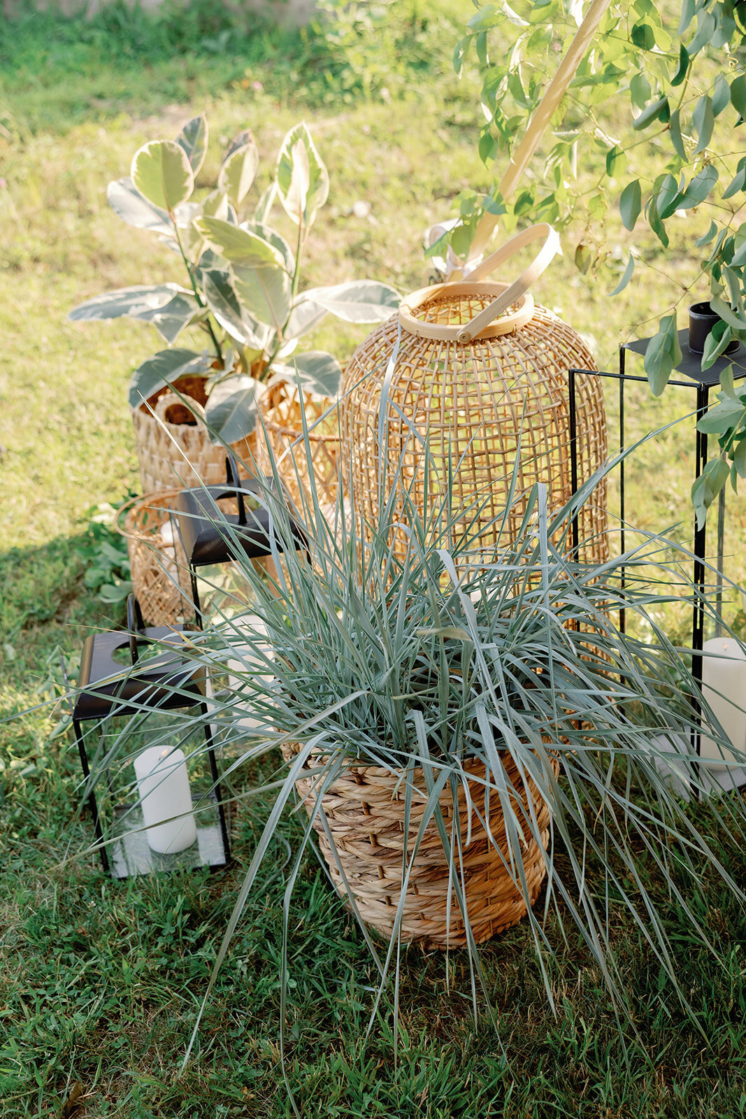 wedding-organic-details