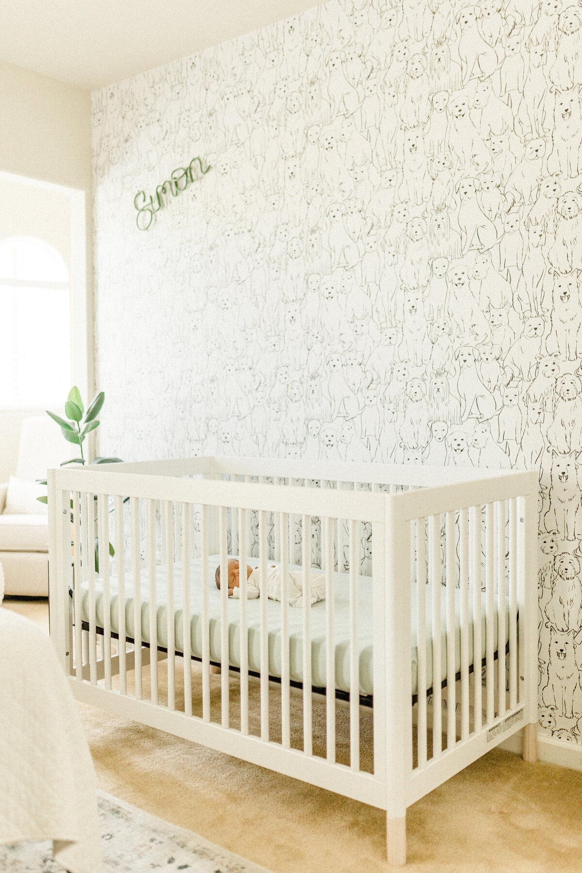 The Schnorr Family | Sacramento Lifestyle Session-18