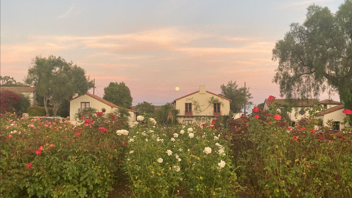 Santa Barbara Mission Garden