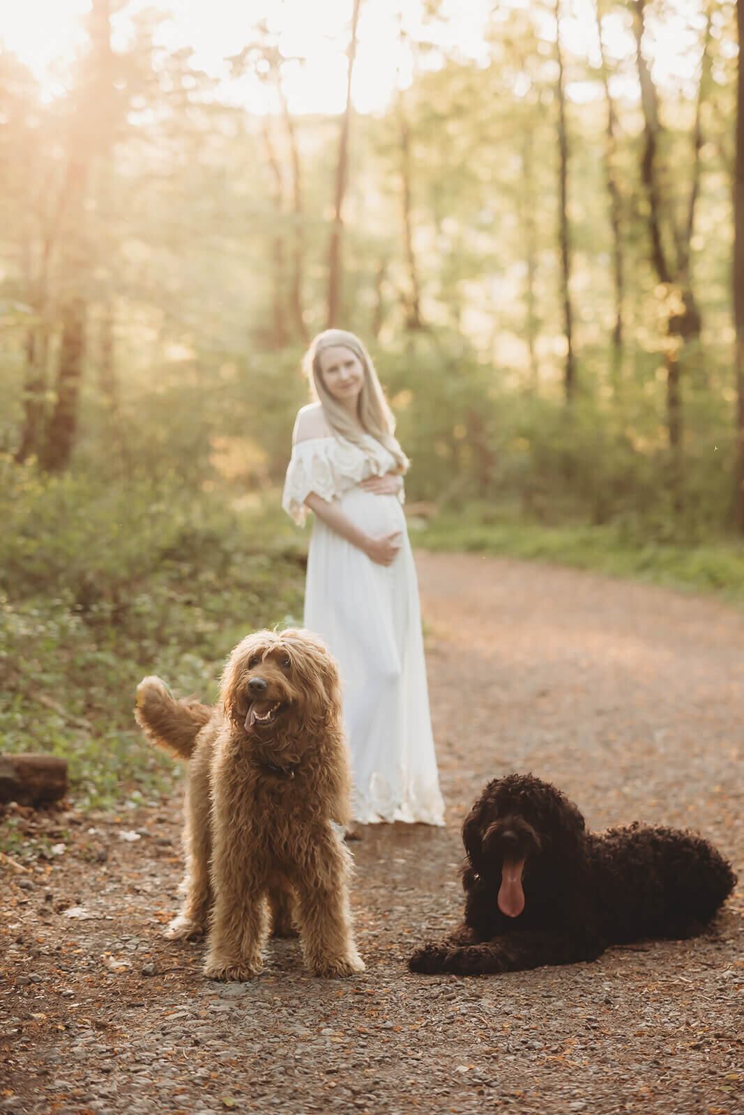 Sallyann-mechanicsburg-maternity-photographer-3