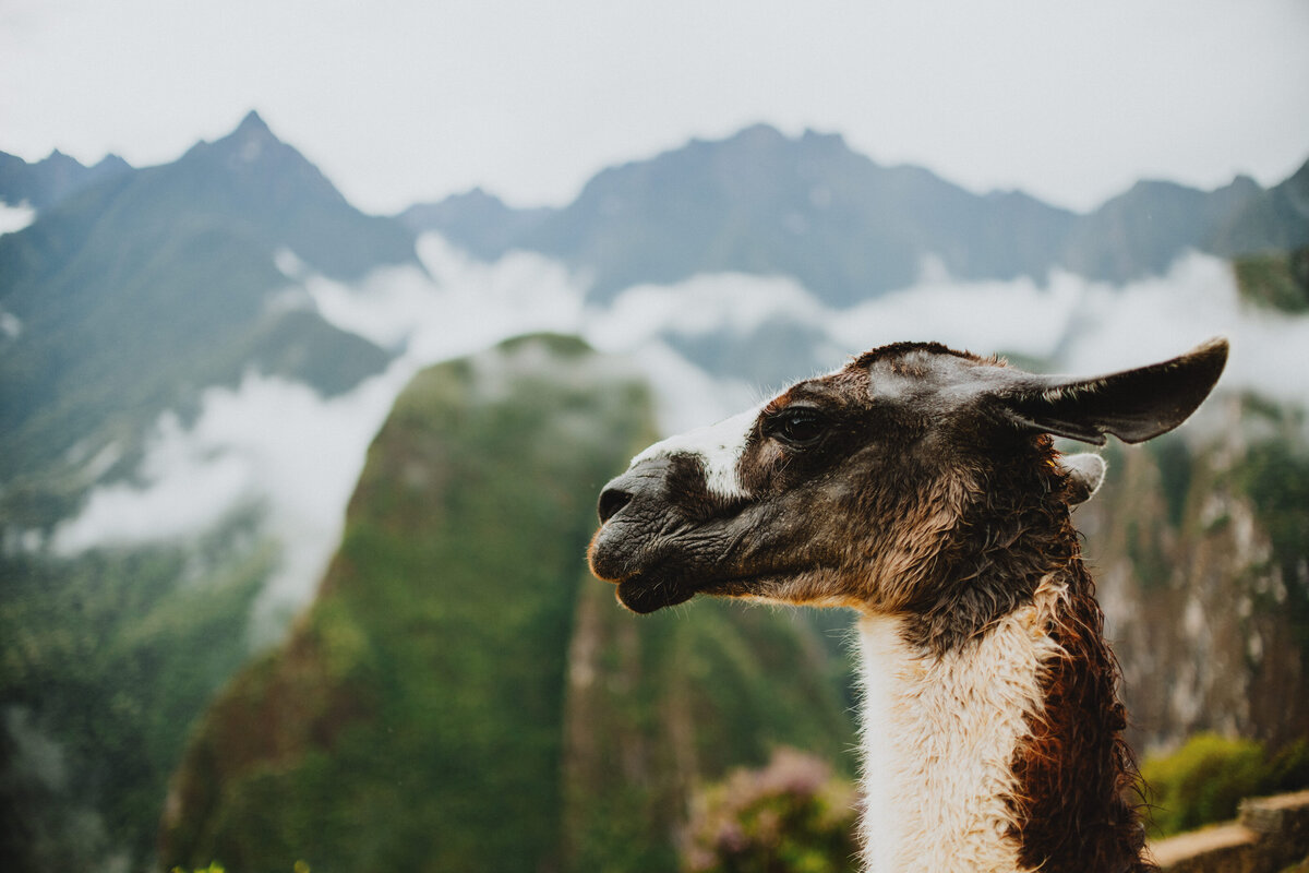 220807_Peru_24