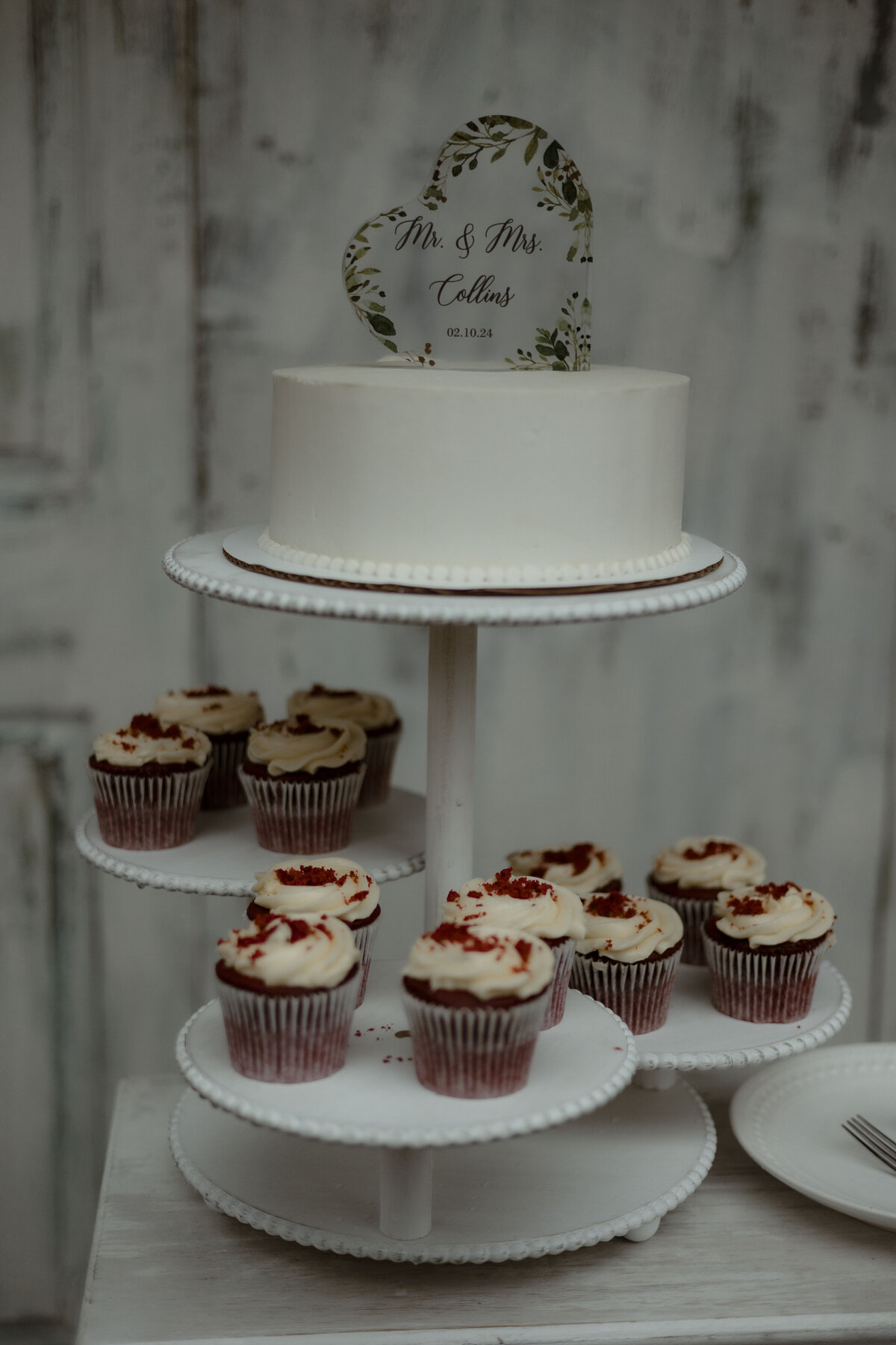 smoky mountain wedding photographer (9)
