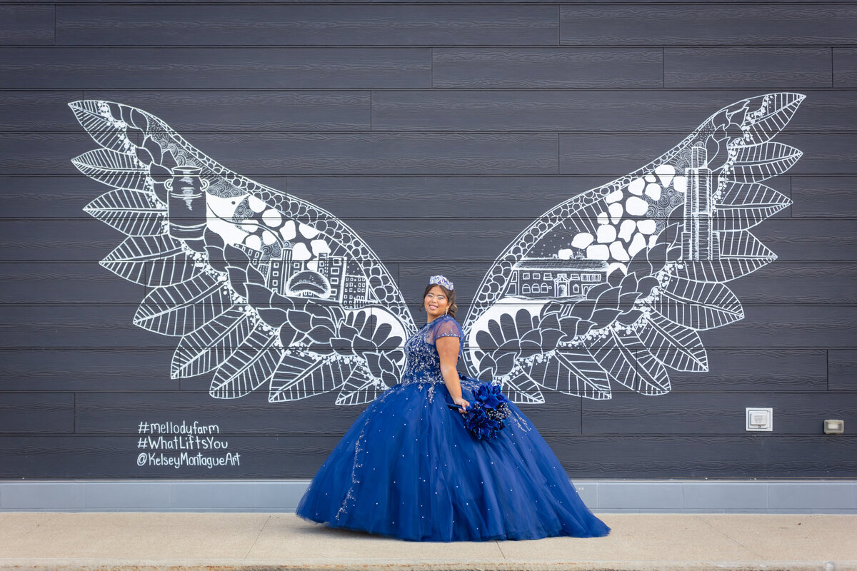 Lordes Quinceanera, Salon Latino in Waukegan, IL, Melody Farms, Vernon Hills, IL, Maira Ochoa Photography -0045