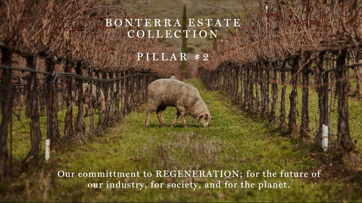 BONTERRA-MASTER-DECK-WEB-72