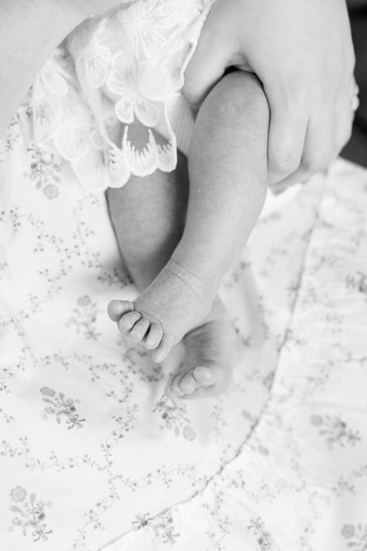 Orange County Newborn Photographer September 13, 202410