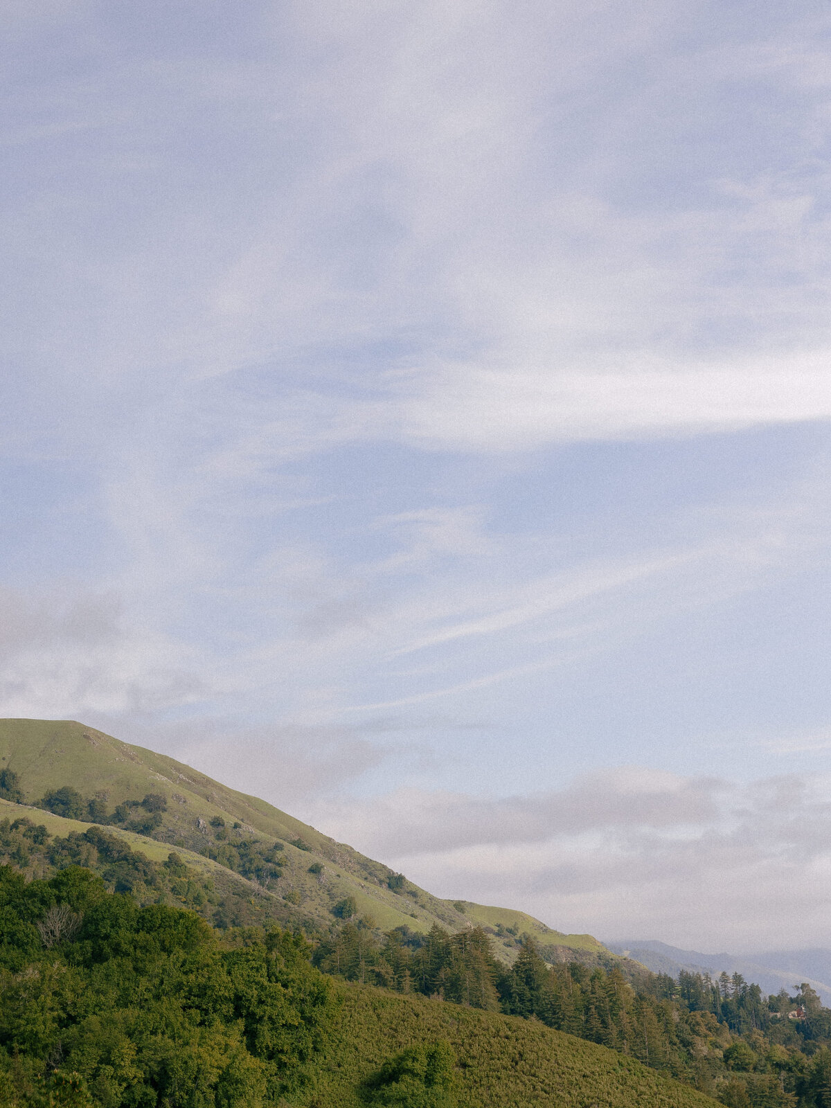 Ventana-Big-Sur-Wedding-Photographer-49