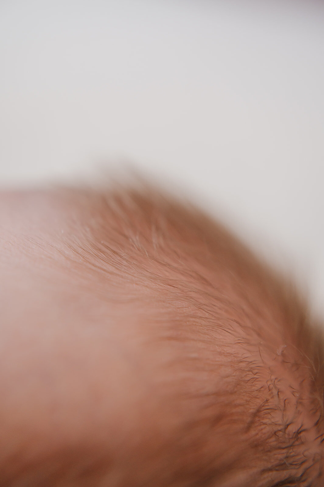 ARLO_NEWBORNSESSION_0078_websize