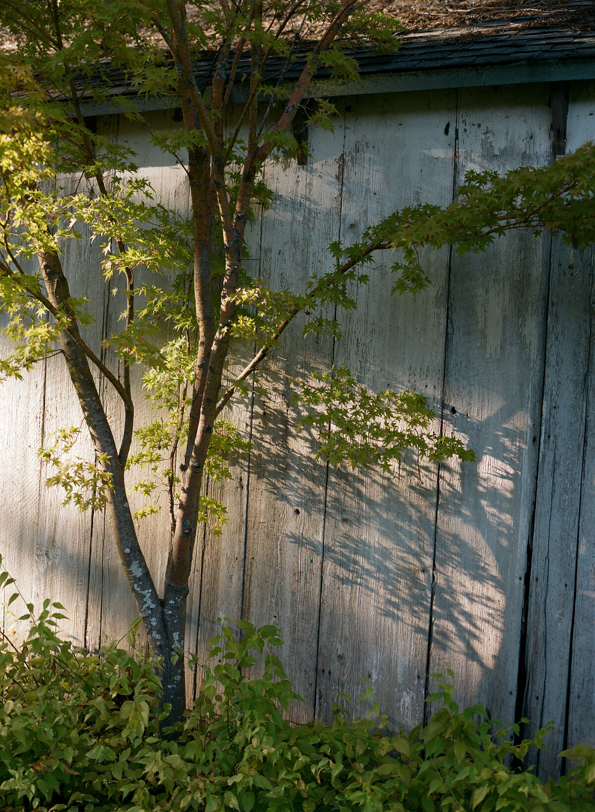 DT-2025-Celine & Gabe Highlights-232