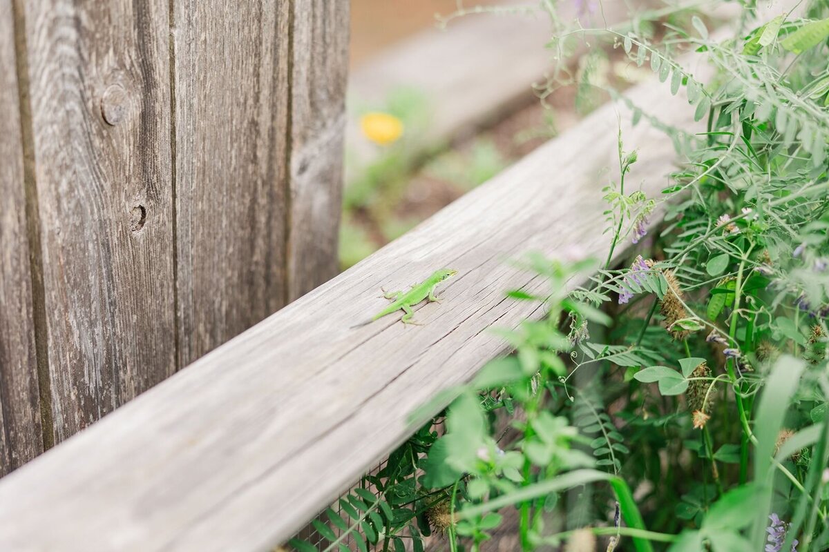 Birmingham engagement photographer - 59