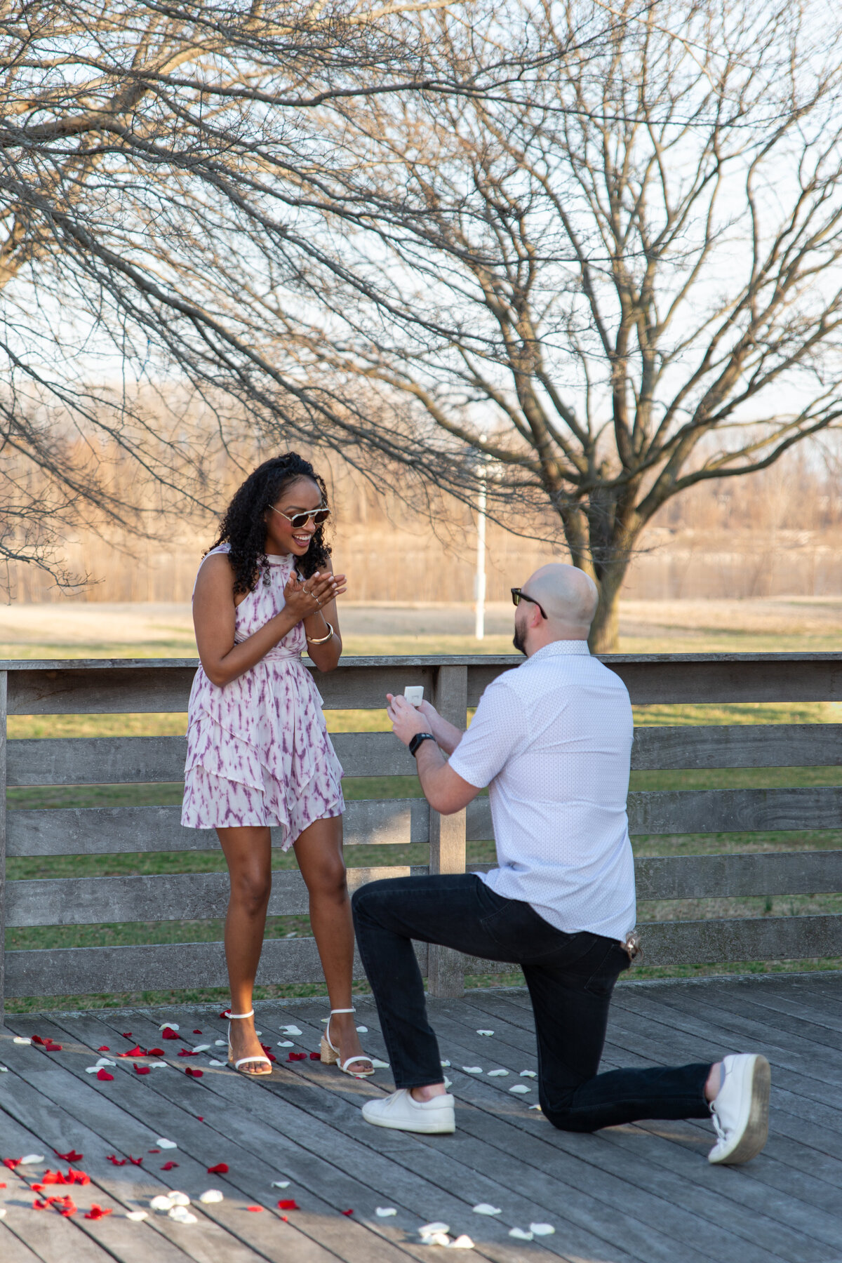 st louis missouri proposal photographer