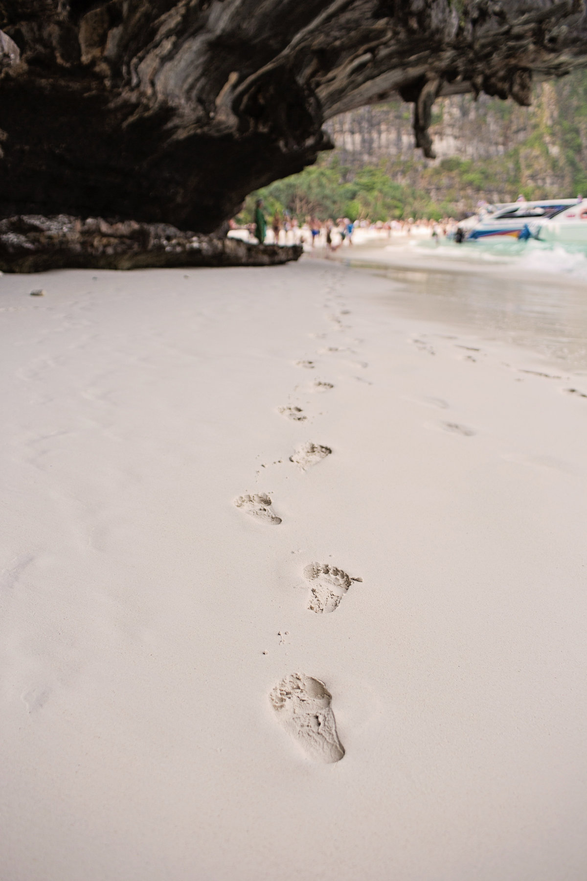 PhiPhi-50