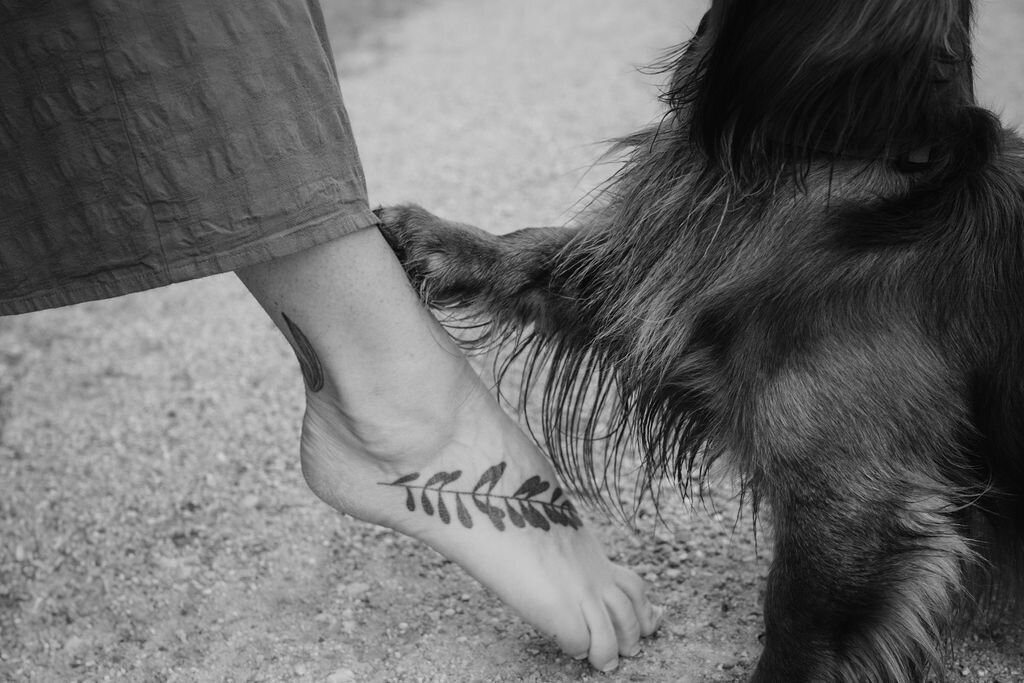 Elis-Fotografie-Hundefotografin-Solothurn-Tiefotografin-Biel-Paarfotos Solothurn-Hochzeitsfotograf-Bern109