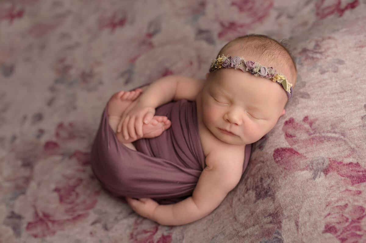 boston newborn photoshoot