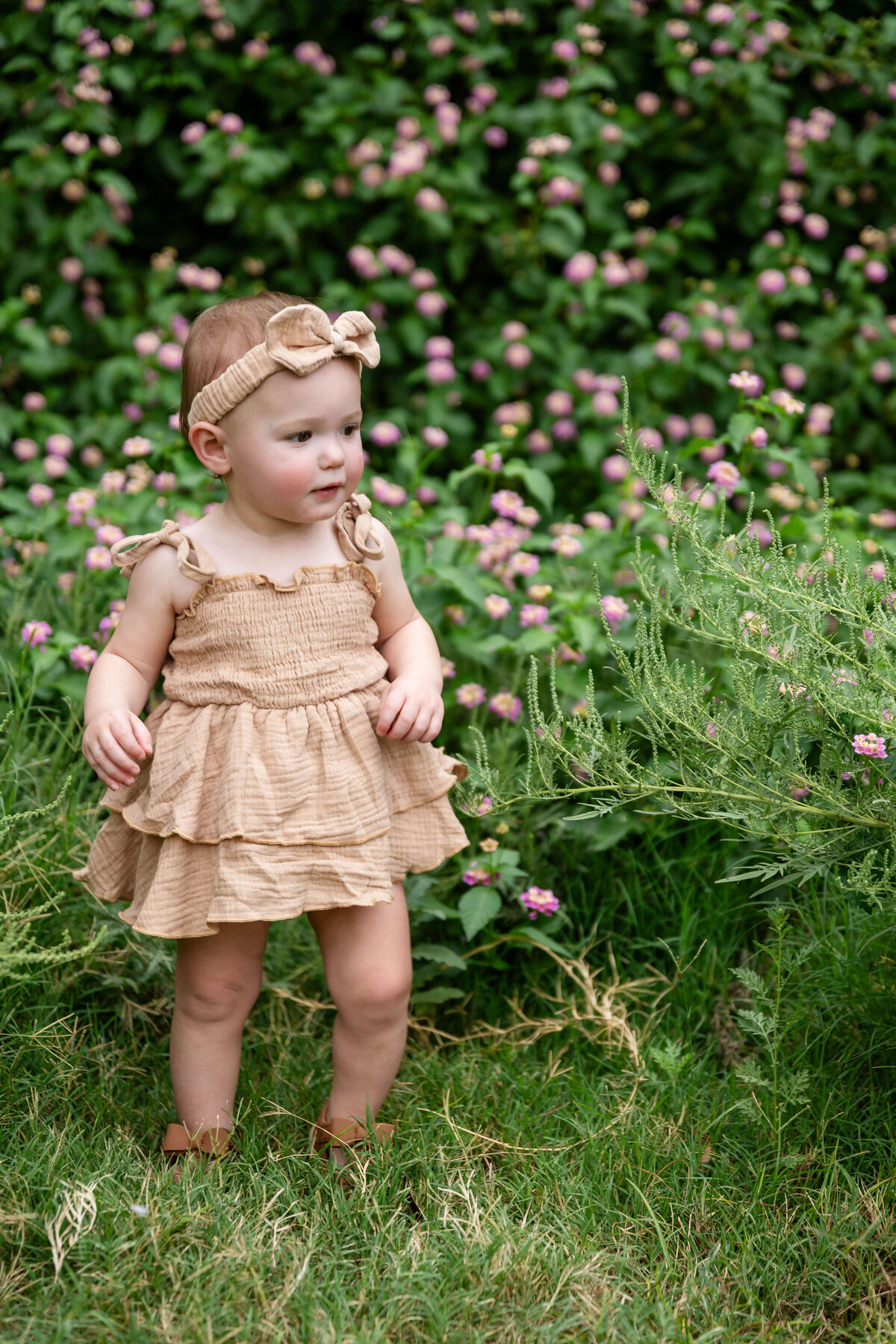 little girl taking milestone photos in front of a rose bush