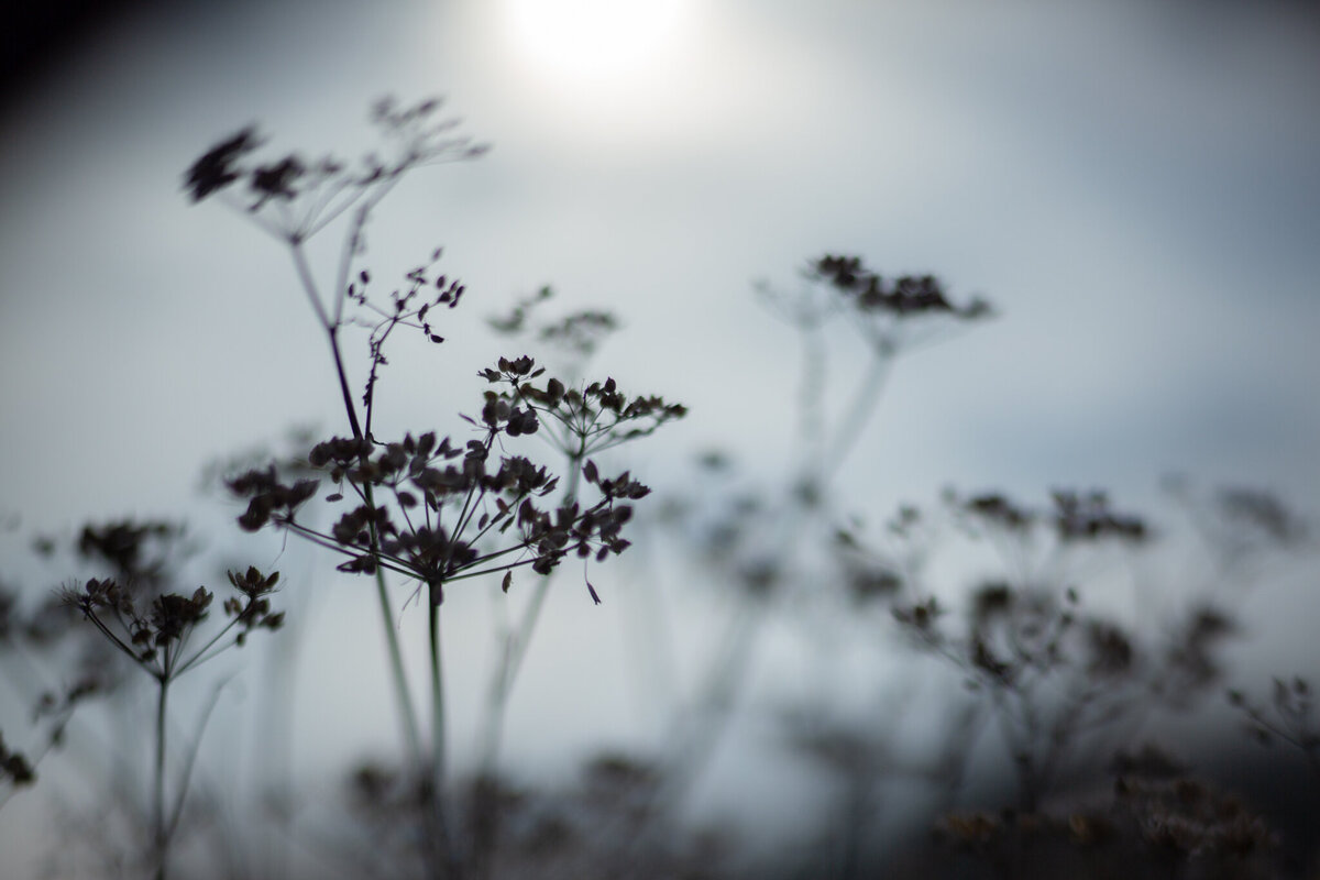 fine_art_photographer _016