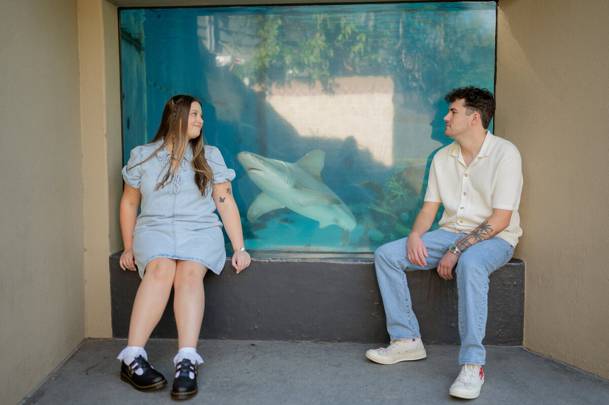 abstillsphotography_orangecountyphotographer-59