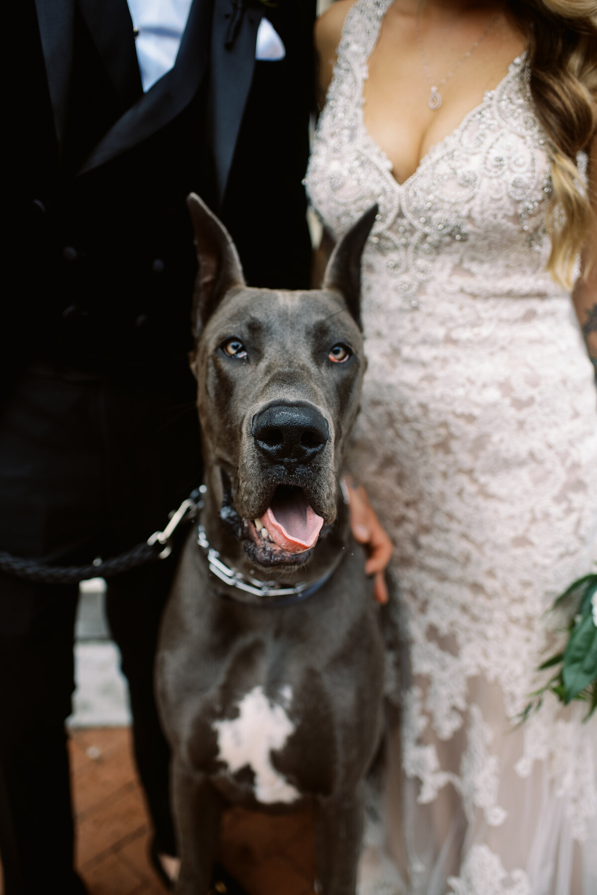 CescapheBallroom_PhiladelphiaWedding_TaylorNicollePhoto-56