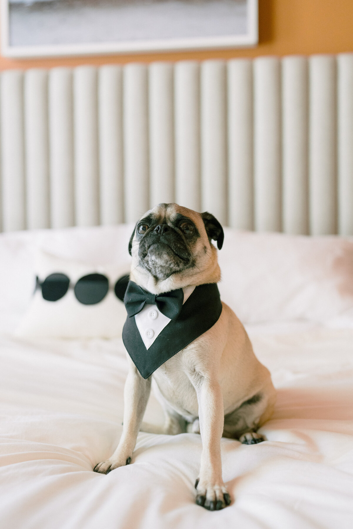 New York Wedding Photographer 11