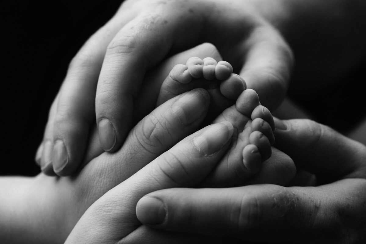 Collingwood-Studio-Newborn-Photography (2)
