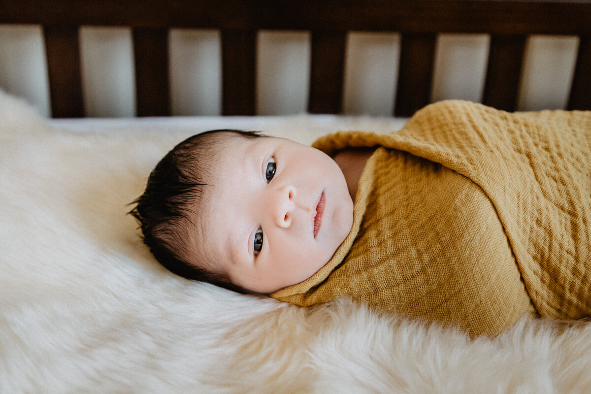 IMG_4739-Edit