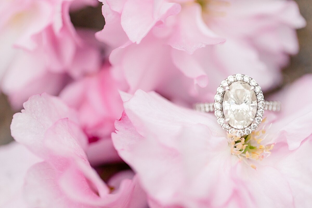 Cherry-Blossom-Engagement-Photographer_0075