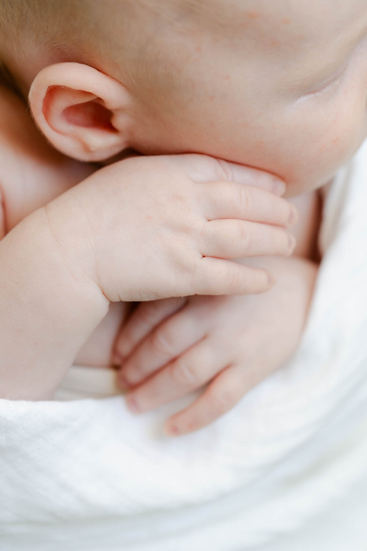 Delaware-Newborn-Photographer-1213