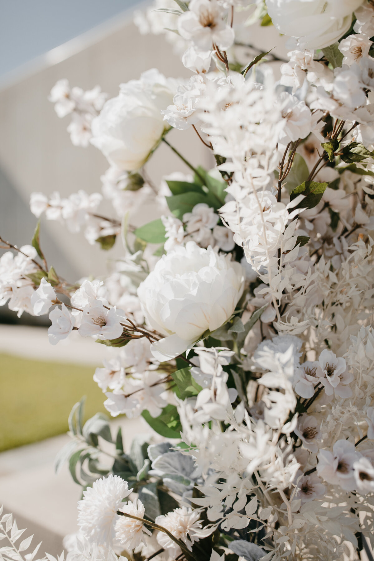 nomaeditorial-9