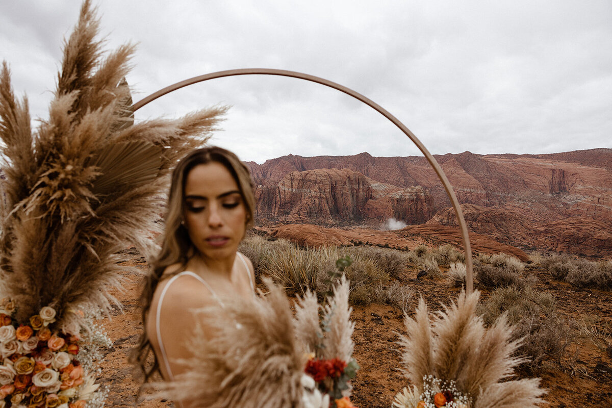 ZionSnowCanyon-dallinhassard-2973