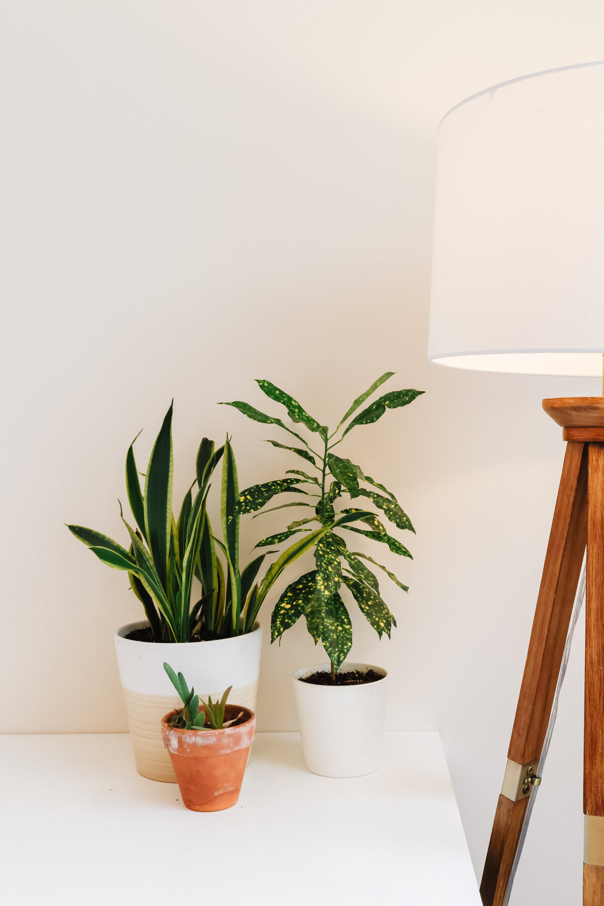 Firefly-Branding-Commercial-Photos-Taylor-Roberts-Lifestyle-Natural-Light-Photographer-Seattle-Washington-1-2