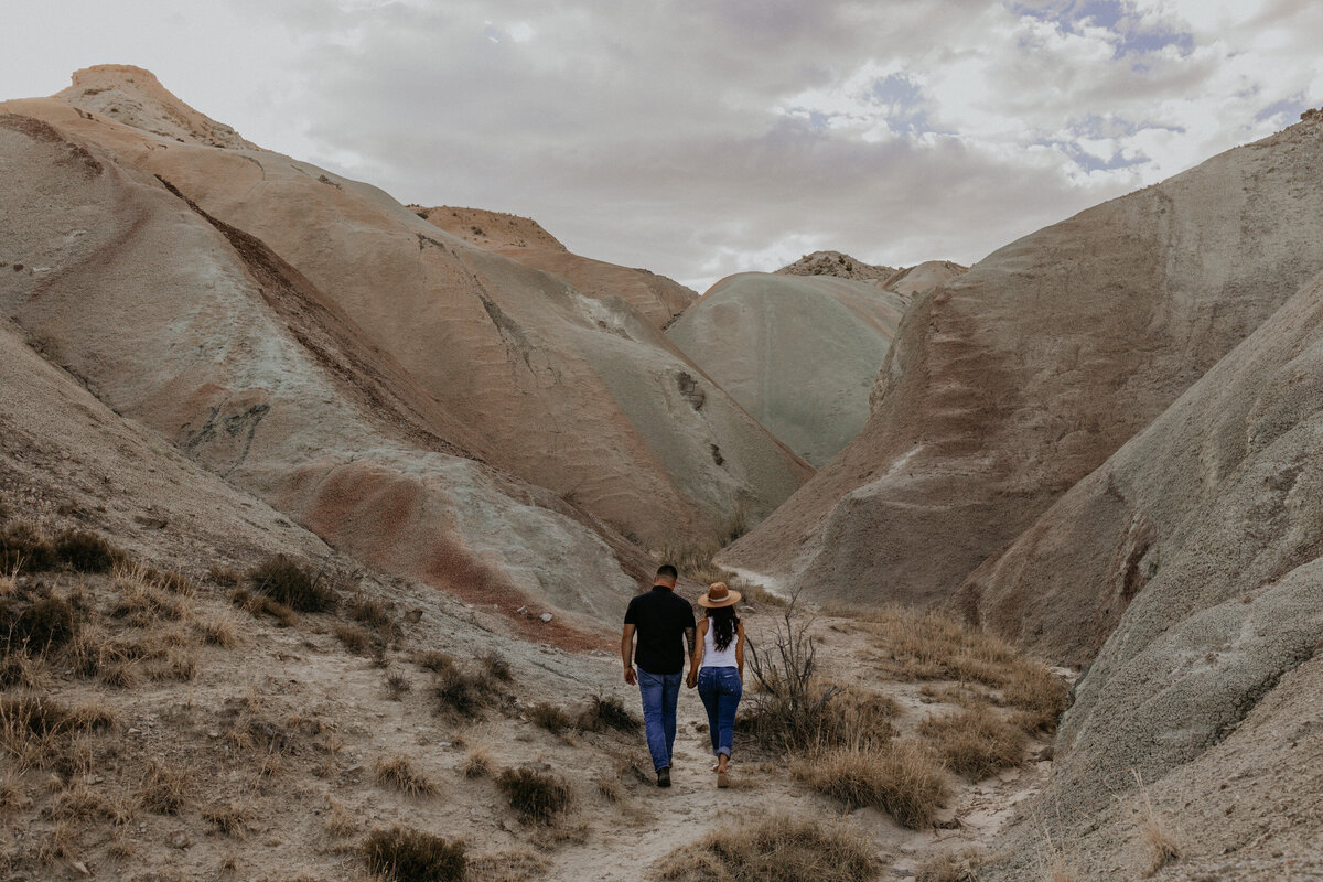 engaged couple walking thorough a painted desert