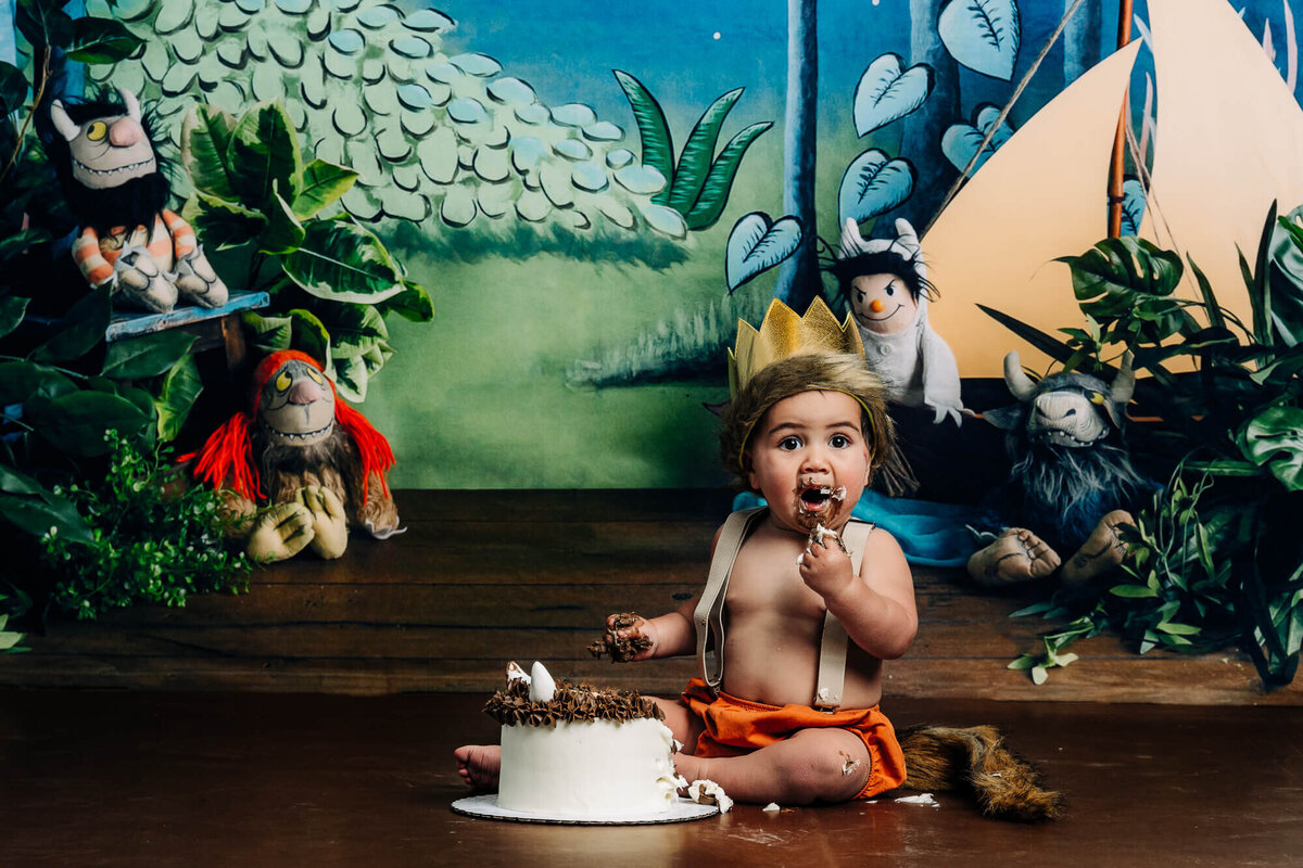 Wild one cake smash theme  session by Prescott kids photographer Melissa Byrne