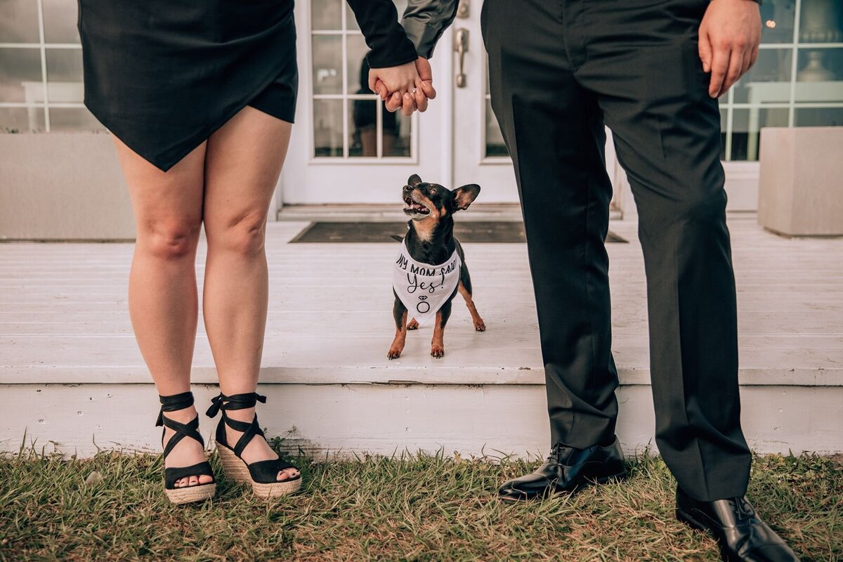 couple holding hands with their dog between them