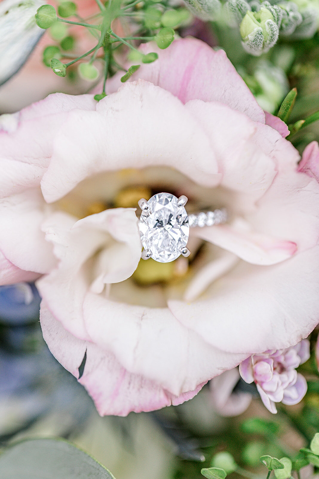 Samantha & Thomas Calloway Gardens Wedding-Chicago + Atlanta Wedding Photographer-10