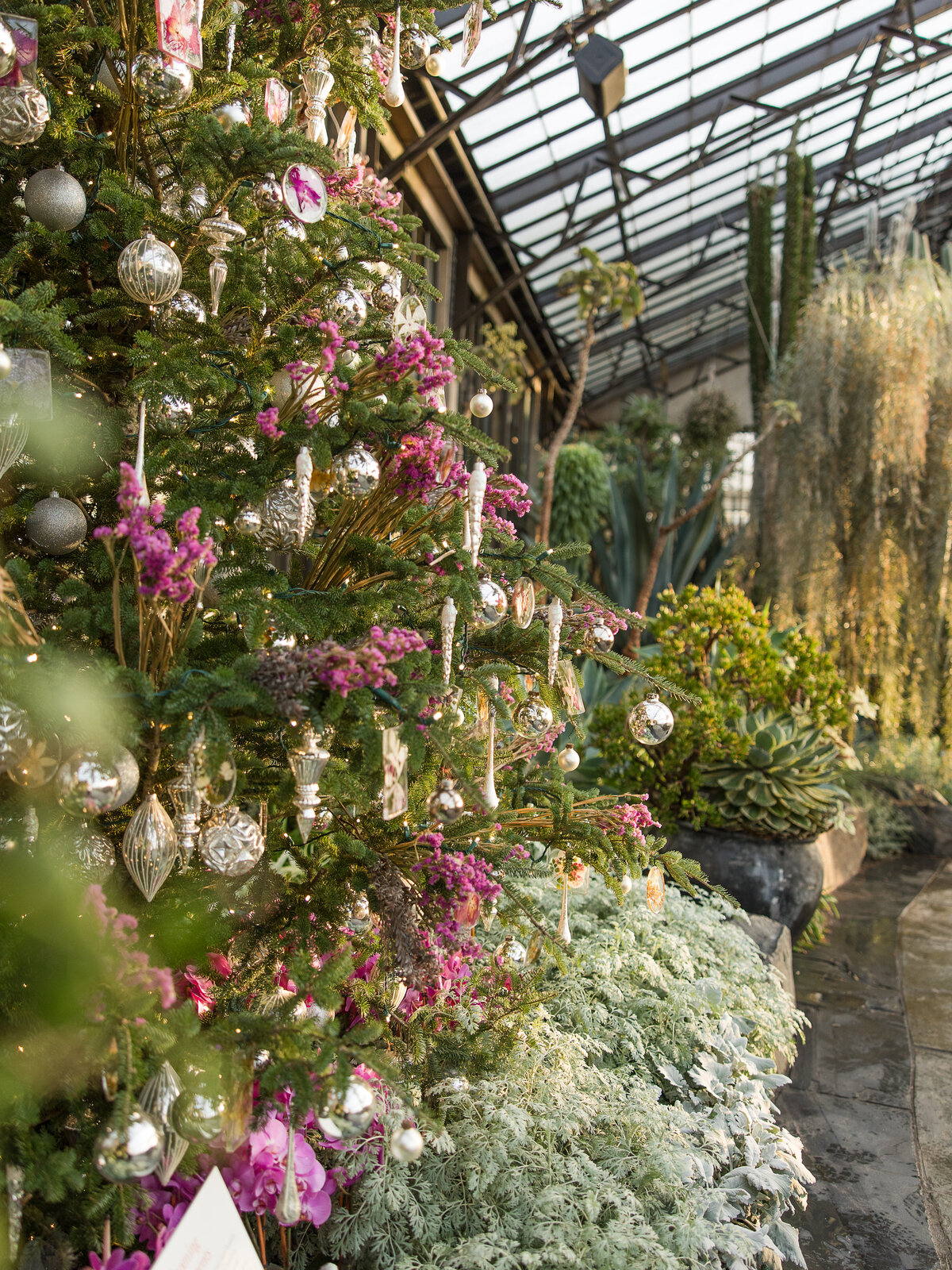 Longwood Christmas 2022_Full Size-37