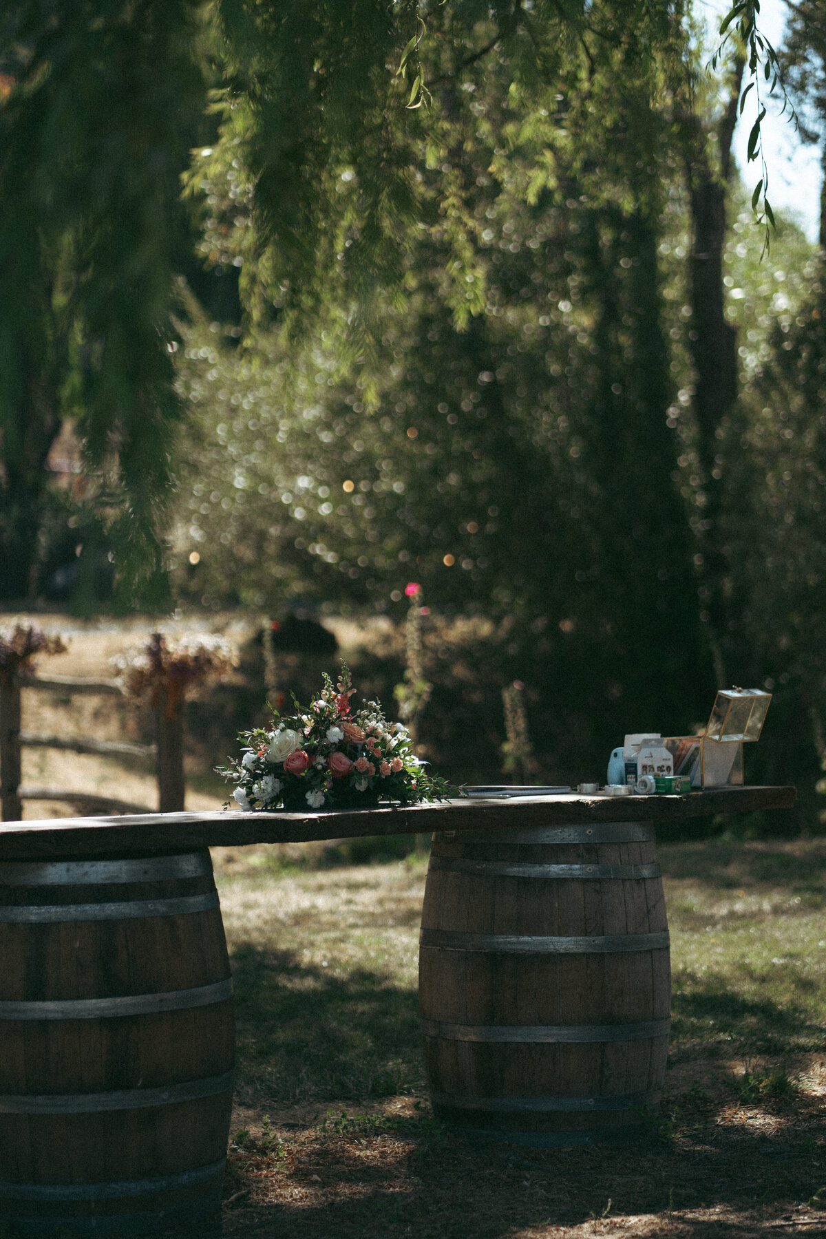 Intimate Wine Country Wedding in Sonoma, California