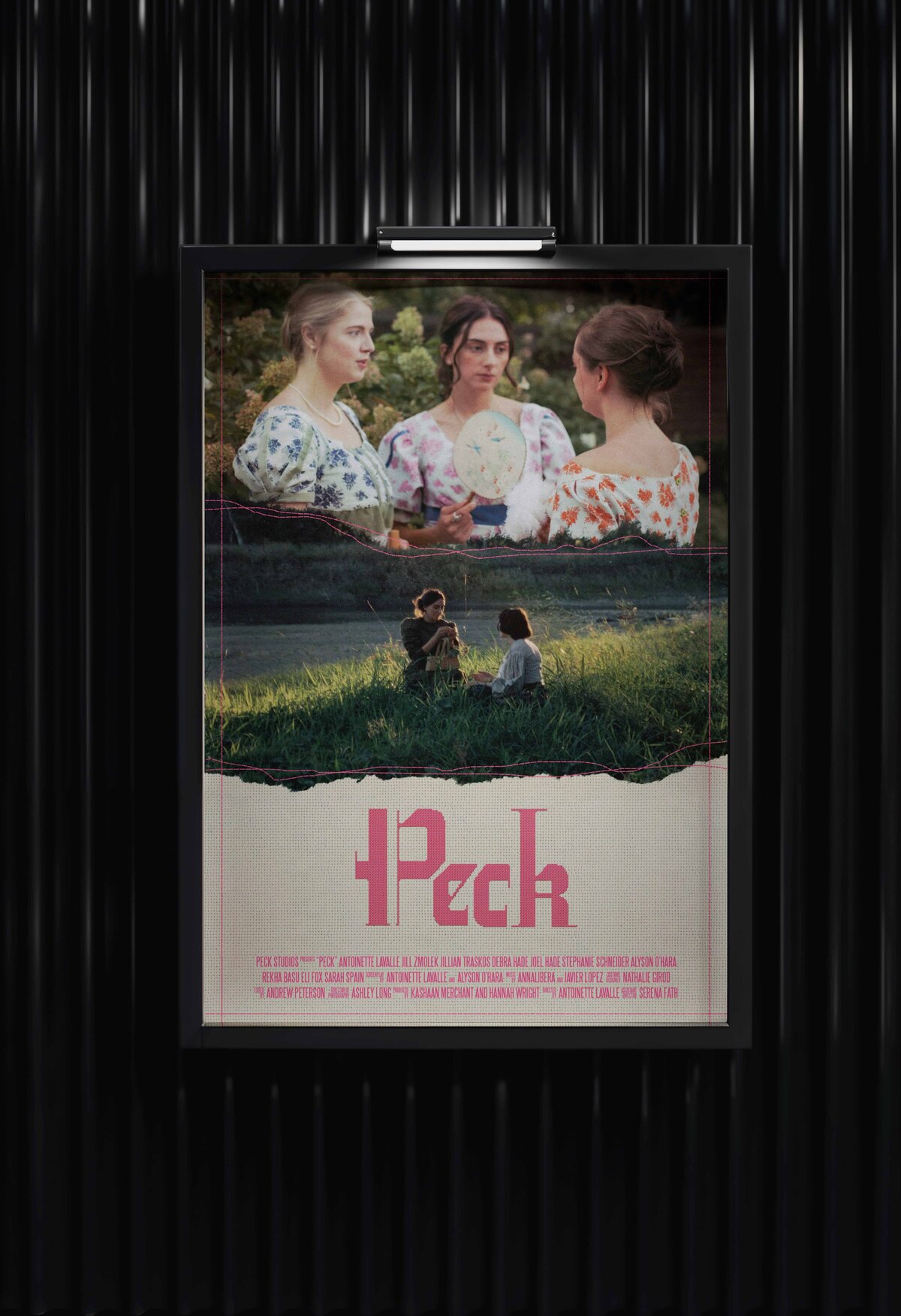 A film poster for Peck displayed on a dark vertical screen. The top half features three women in floral dresses with a vintage fan, while the bottom shows two figures sitting in a grassy field at golden hour. The film title appears in textured pink Gothic-style type over a torn canvas background.