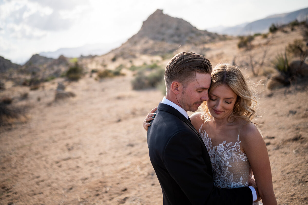 joshua-tree-weddingdayna-brandt39