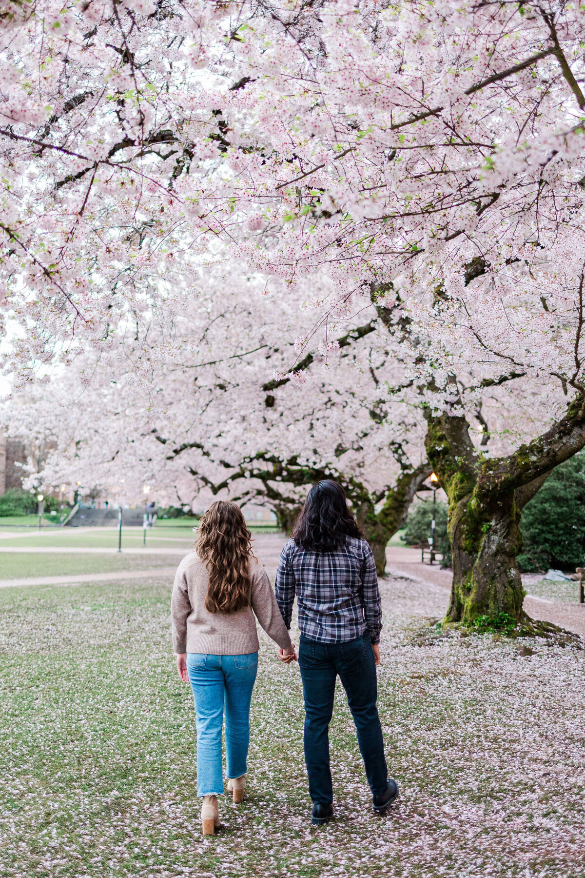 UW-Cherry-Blossoms-Engagement-Photos-4