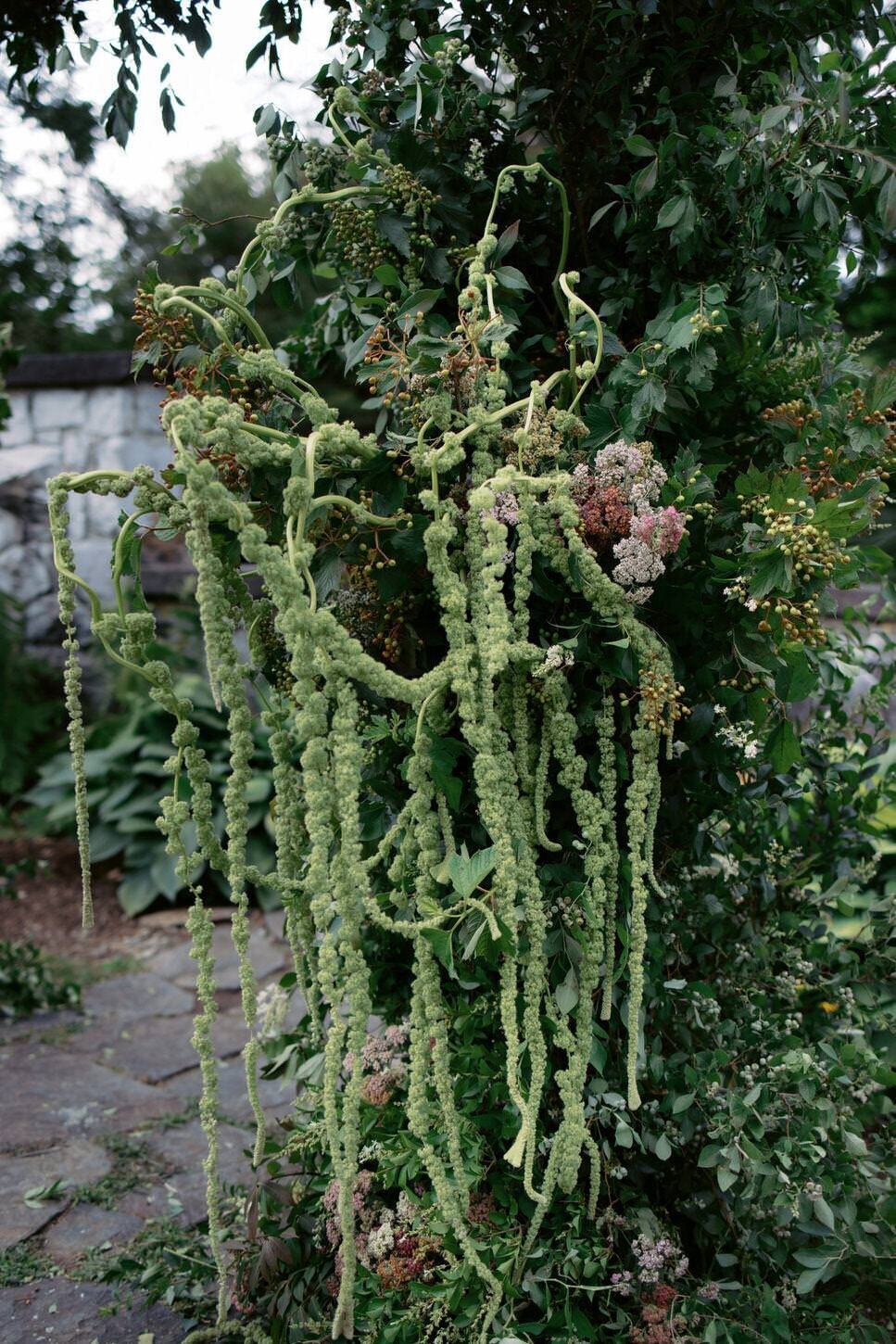 troutbeck-03-elegant-greenery-decor-detail-at-outdoor-wedding-at-troutbeck-jenny-fu-studio