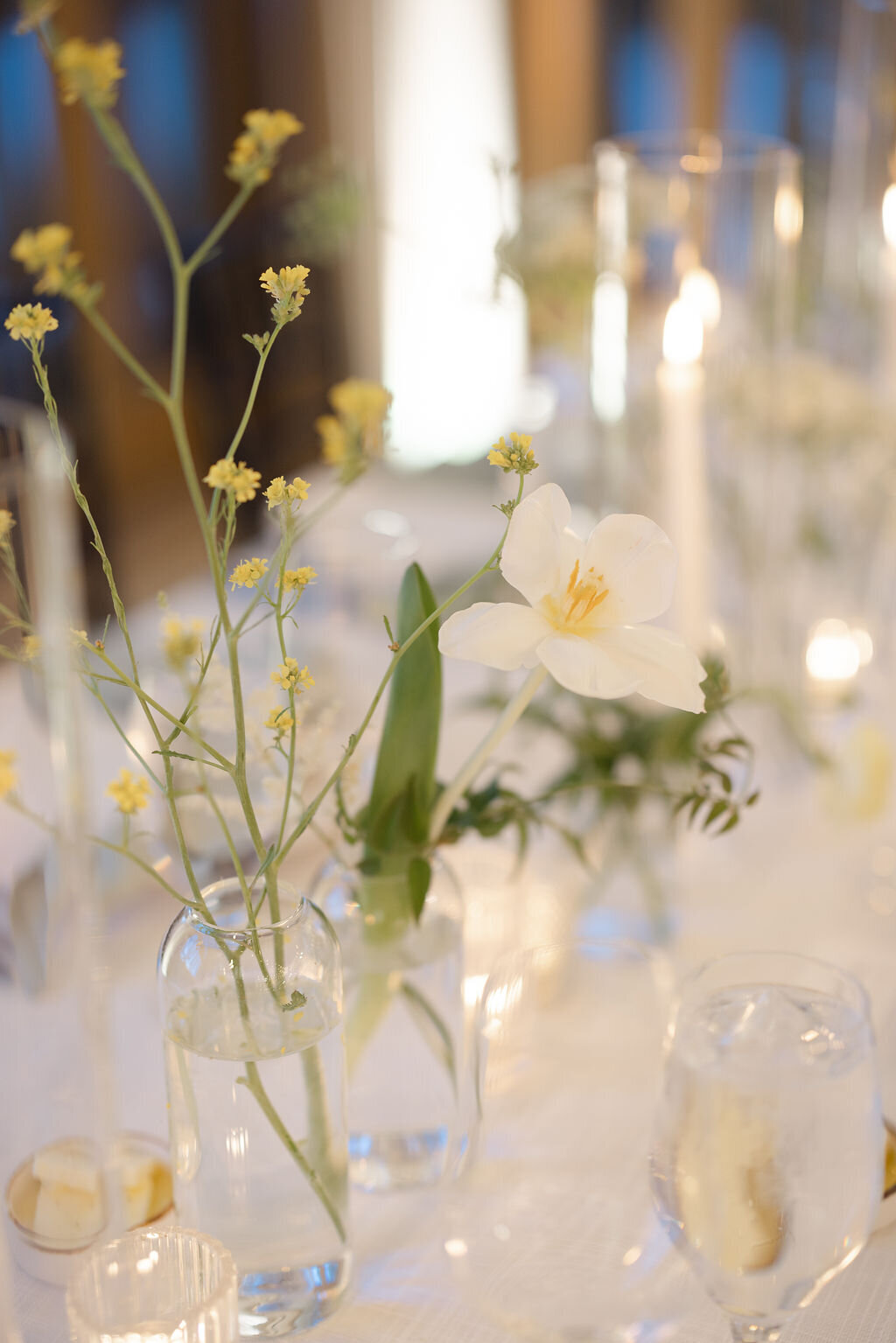 ClarkWedding2884