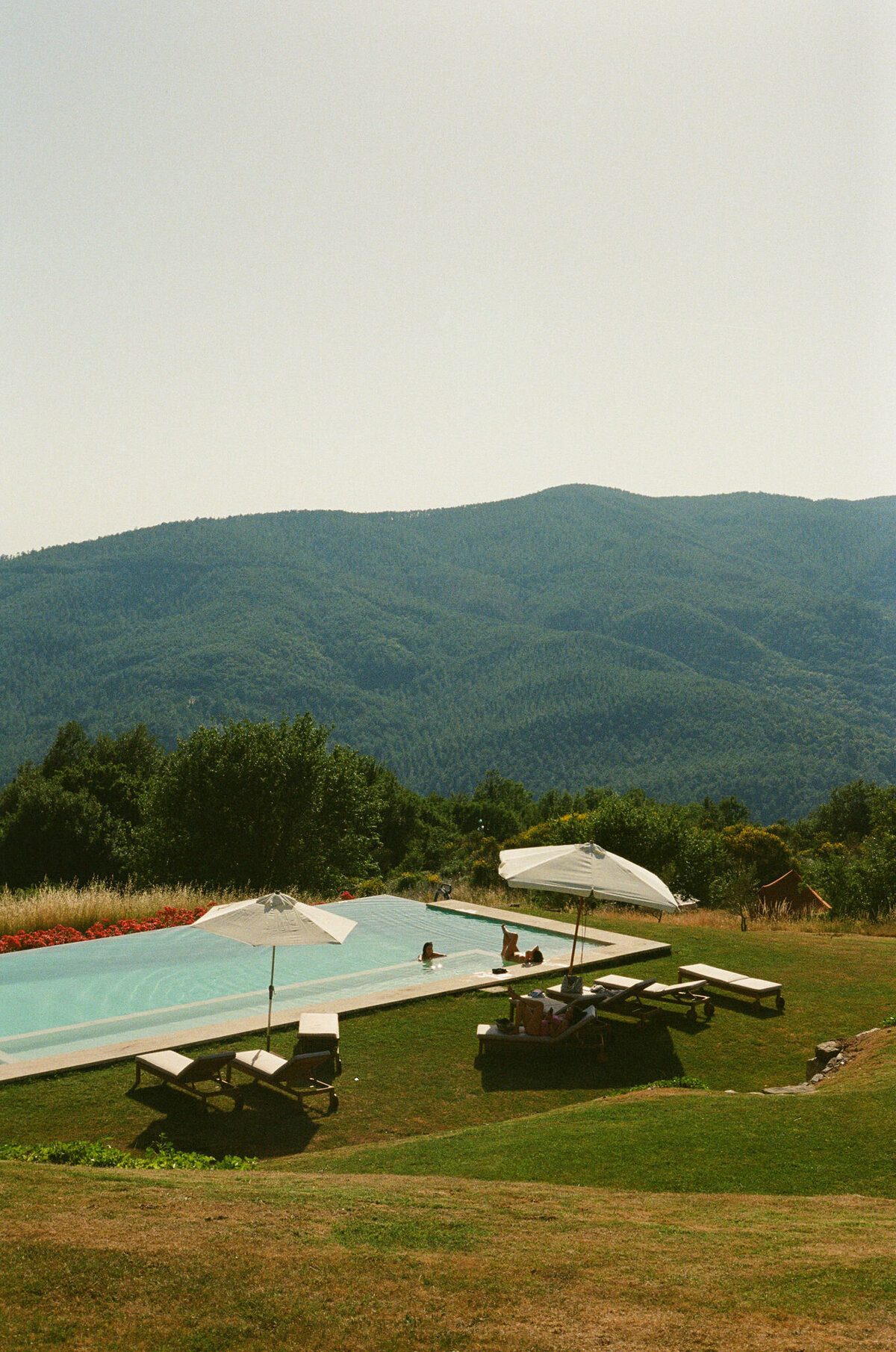 meadowsweet-96