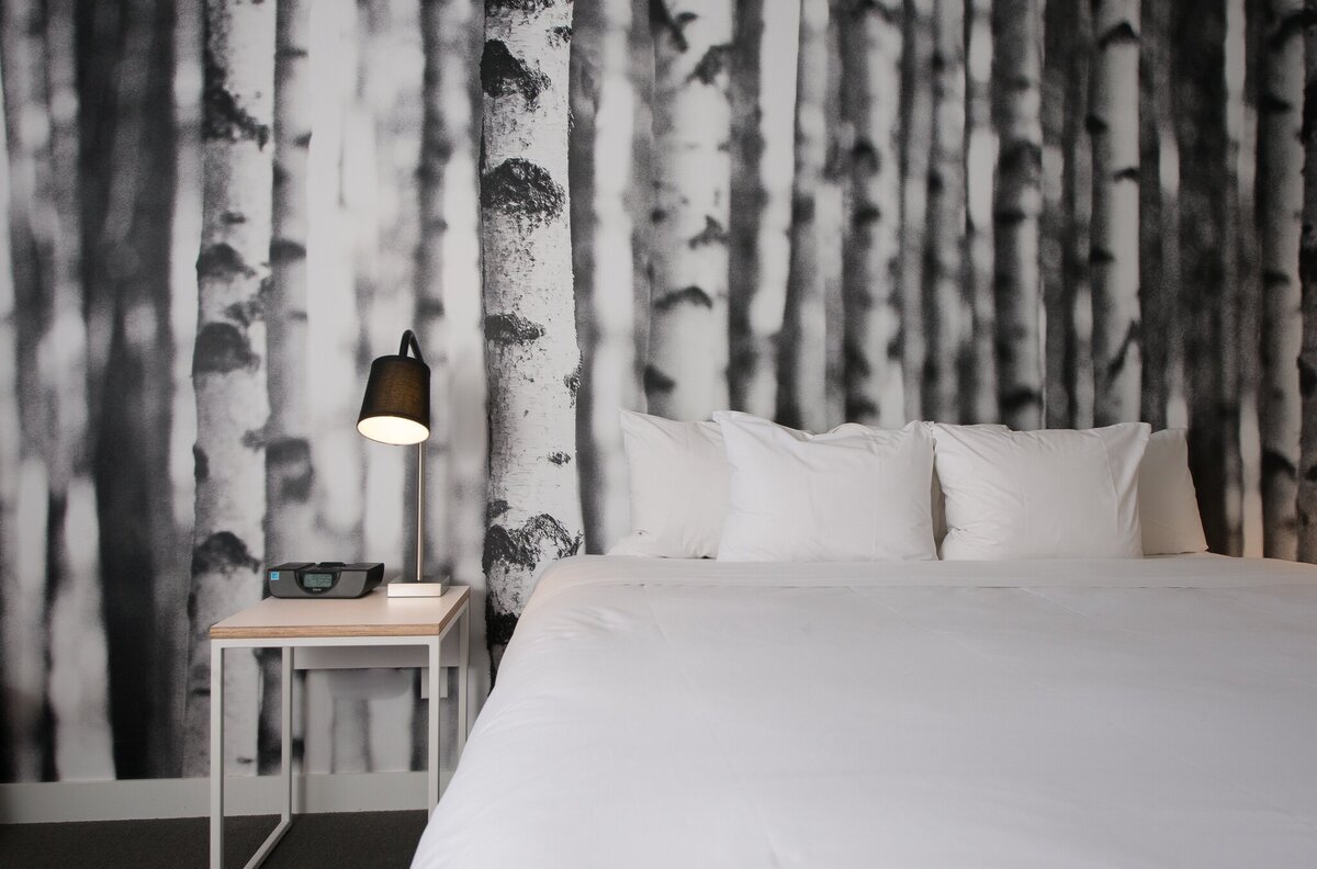 298841247_7962456477129193_4194141885139303250_n