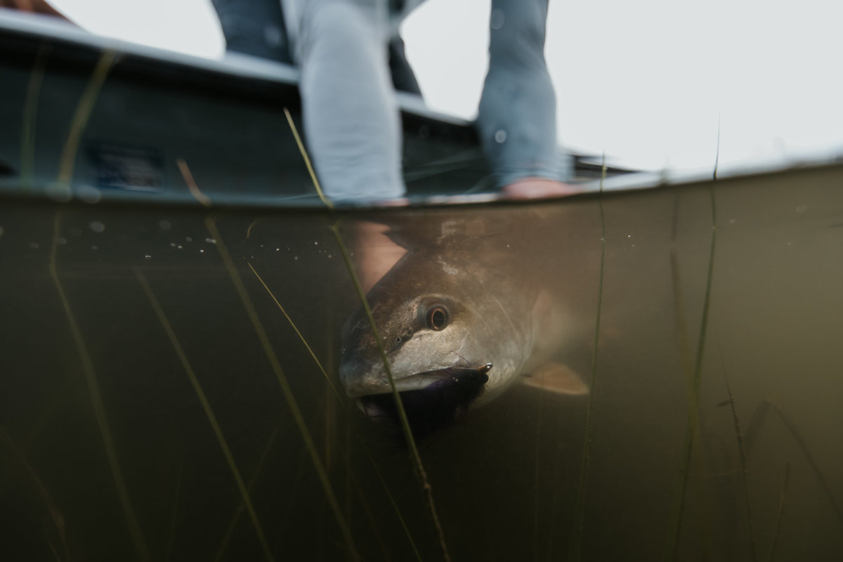 Charleston-sc-flyfishing-photography-5533221