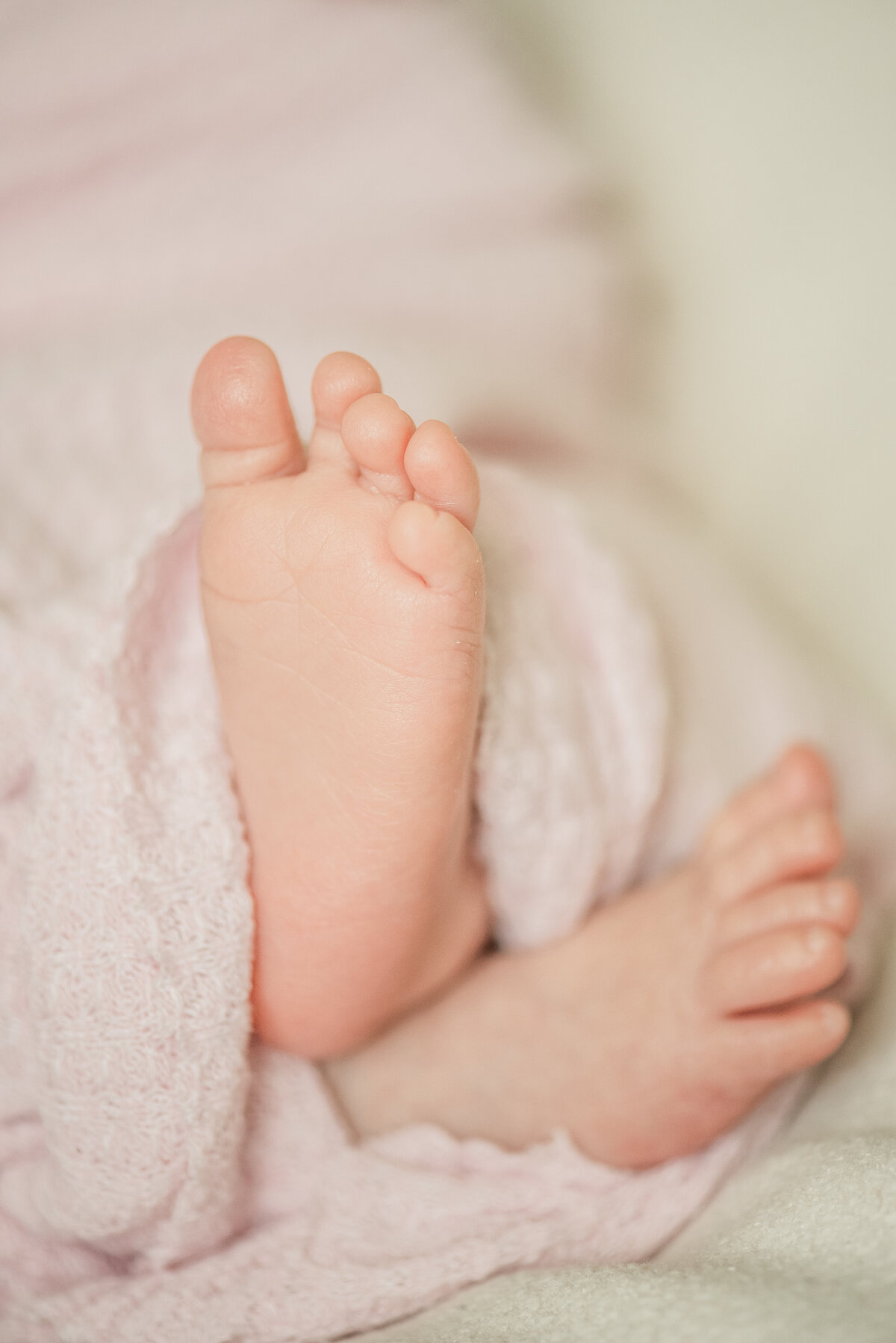 tiny baby toes - maryland newborn photographer