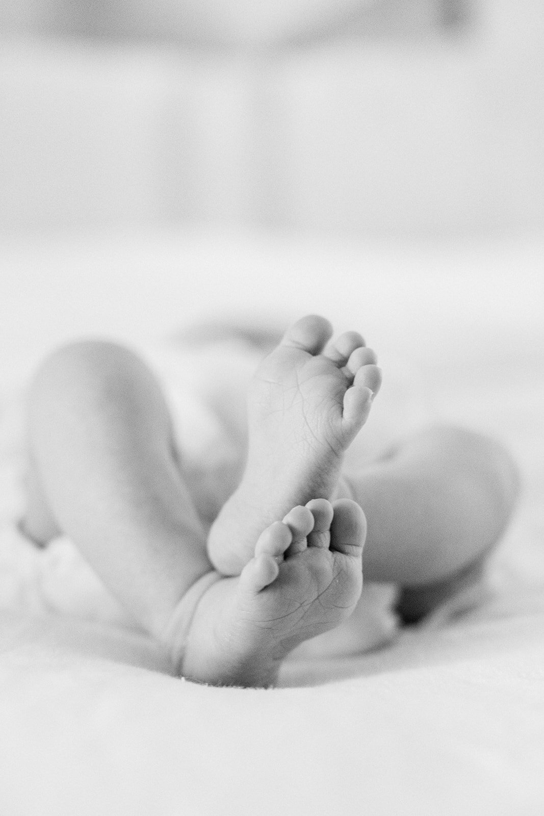 CORNELIA ZAISS PHOTOGRAPHY GRANT NEWBORN SESSION 153_websize