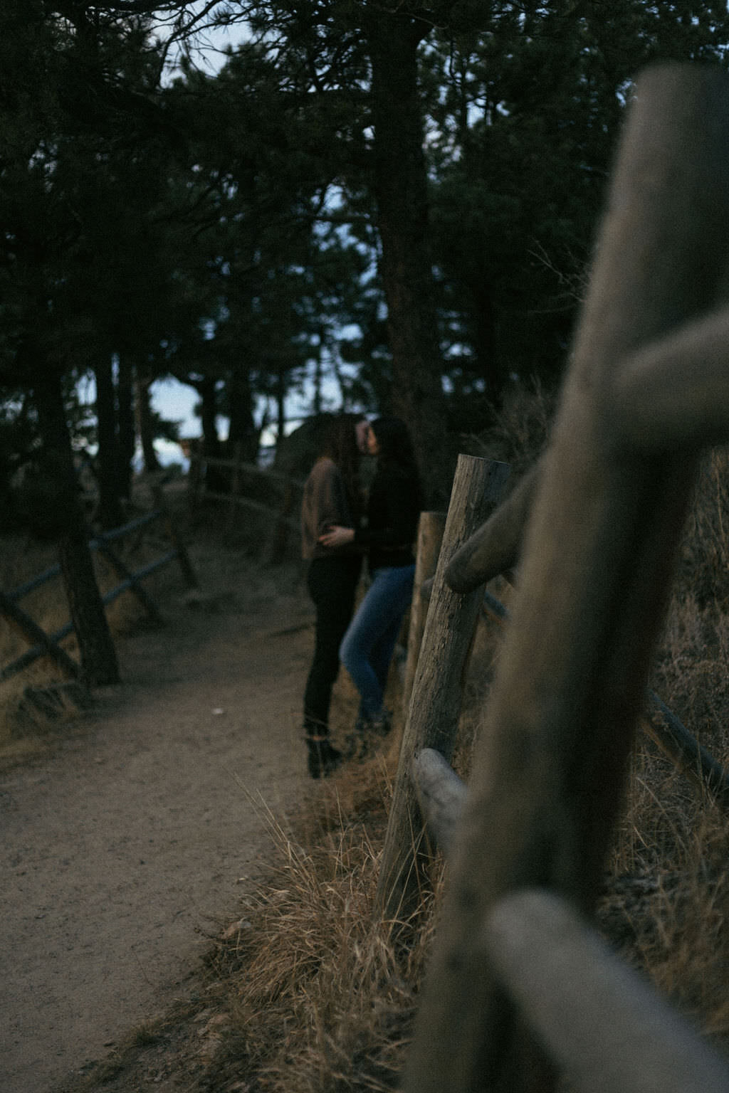 A couple kissing while leaning on a hiking path railing.