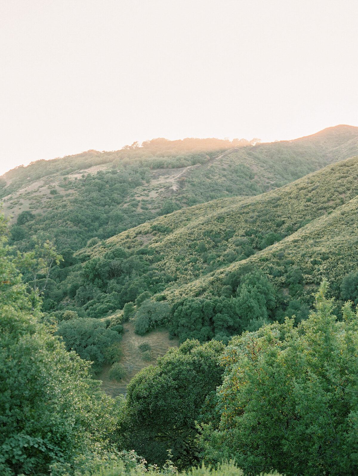 napa-sonoma-bay-area-wedding-photographers-the-tenneys-at-private-estate-wedding-08