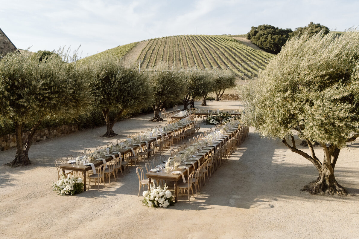 Paso Robles Wedding Photographer-56